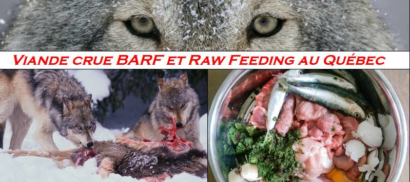 Groupe viande crue FaceBook