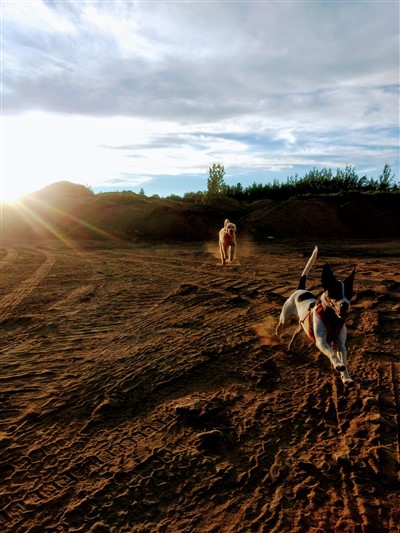 Alfa et Lilou 400 x 533