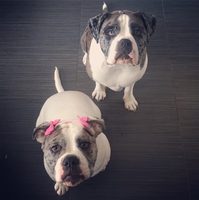 Arnold et Yolande 400 x 401