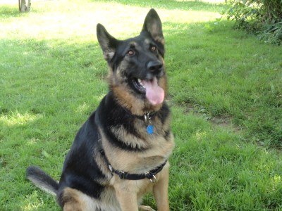 Dalton et Mira 400 x 300