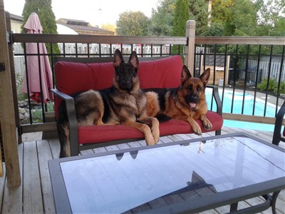 Gala et Lo 400 x 300