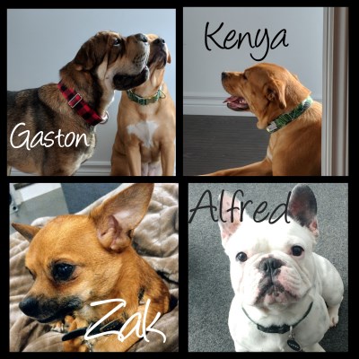 Gaston Kenya Zak et Alfred 400 x 400