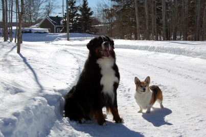 JacobPolynn 403 x 268