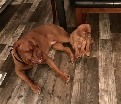 Jenny Forrest 400 x 344