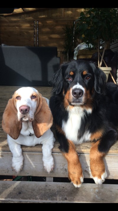 Jules et Maddy 400 x 710