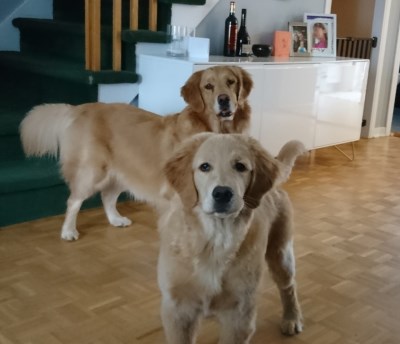 Maya et Kelly 400 x 344