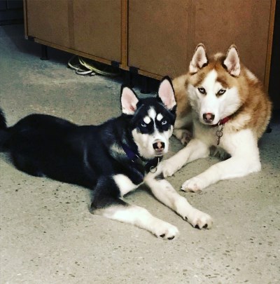 Maya et Sheldon 400 x 405