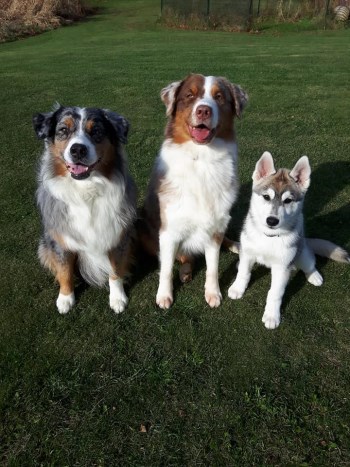 Maïly Faith et Eliyah 350 x 467