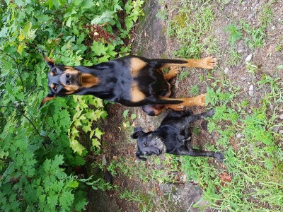 Molly et Youka 400 x 300