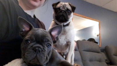 Monseigneur de la patate et sir baloney de launey 400 x 225