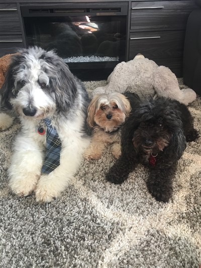 Morgan picolo et gucci 400 x 533