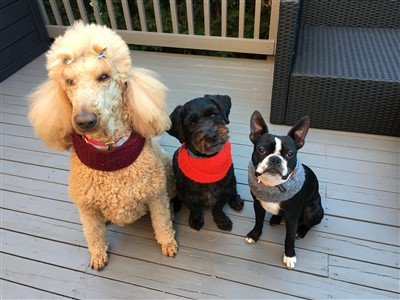 Prada Bouddha Sid 400 x 300