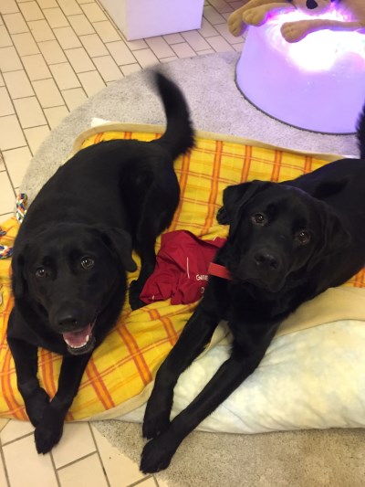 Roxy et Wi Fi 400 x 533