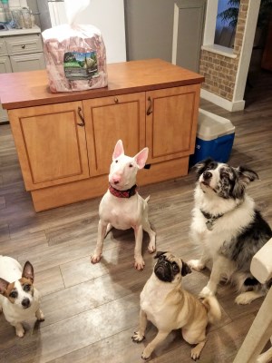 Sandy Alice Chloe Chuck 300 x 400