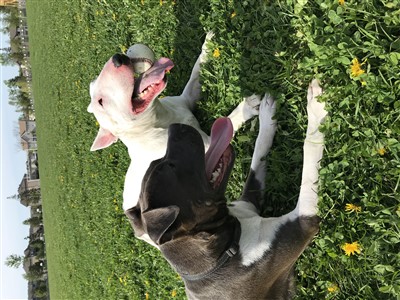 Ze et Black 400 x 300