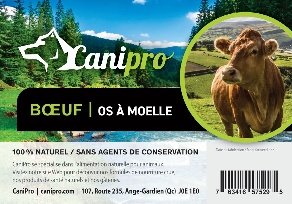 Os à moelle de boeuf