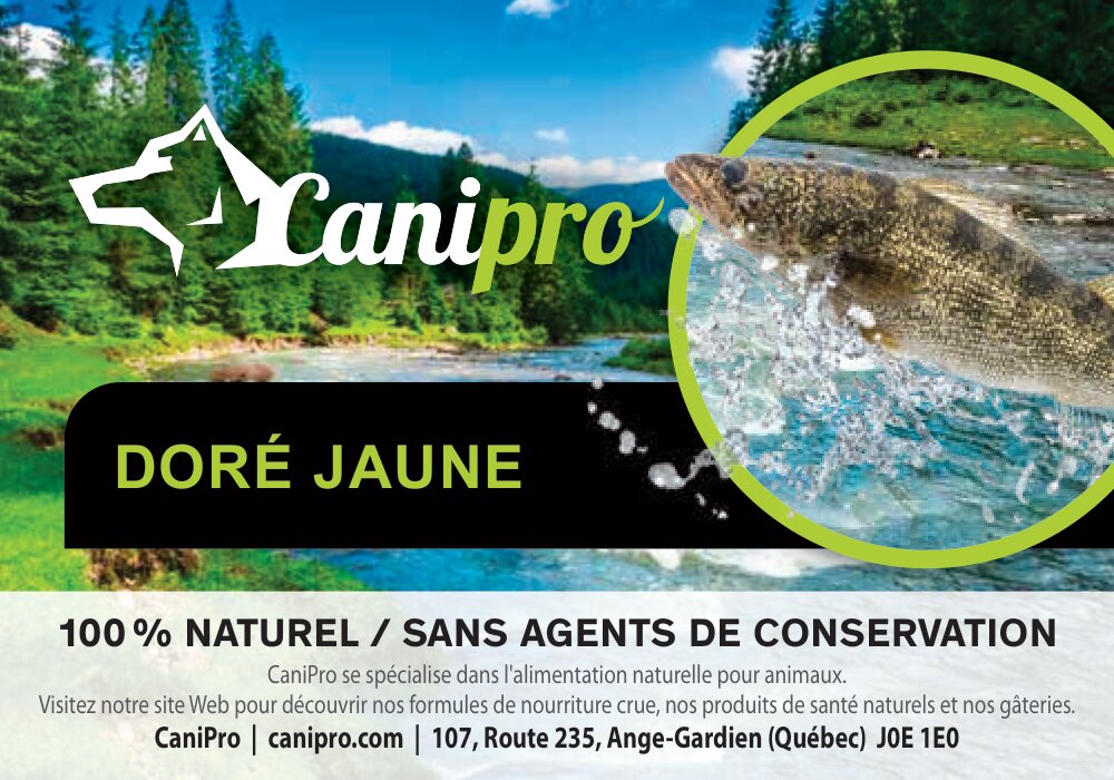 Filet de doré jaune sans os