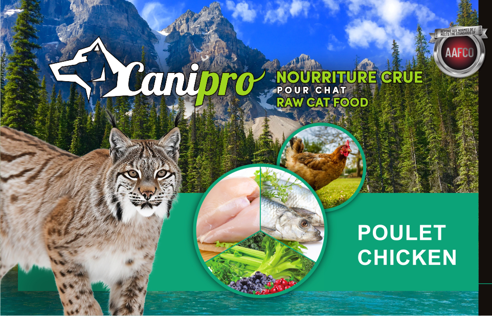 Recette Félin Poulet