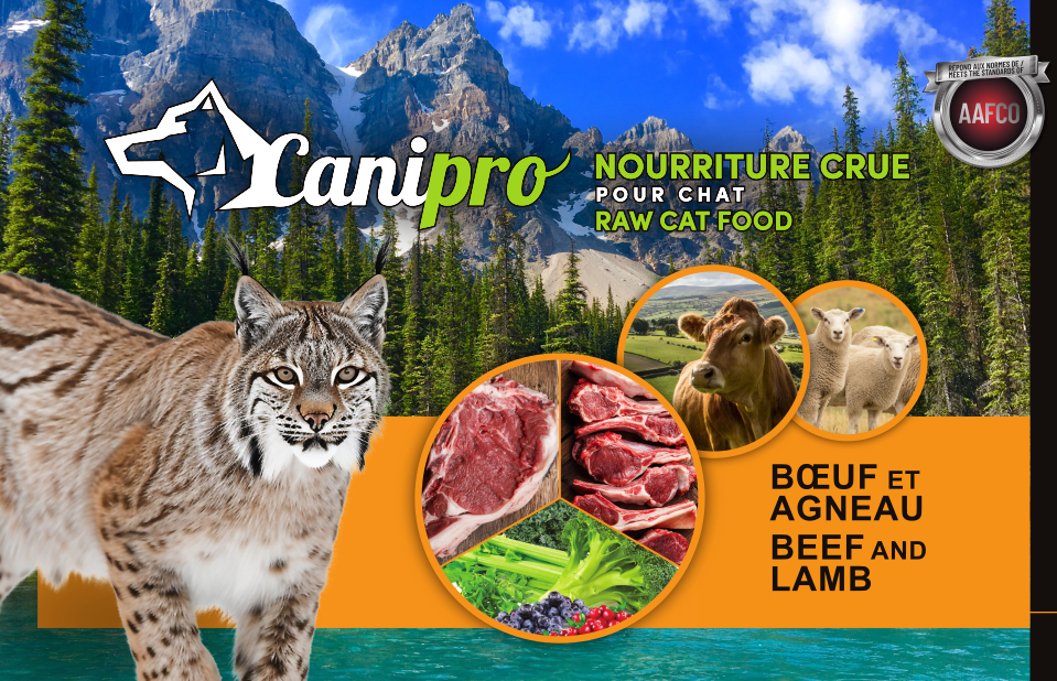 Recette Félin Boeuf et Agneau